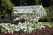 Malva at Malleny garden in Scotland -  -  -