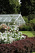 Malva at Malleny garden in Scotland -  -  -