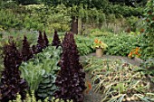 Flowers in vegetable garden at Malleny garden Scotland