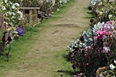 Turfed garden path