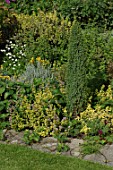 Paving covered with Strawberry plants and border of yellow and green plants