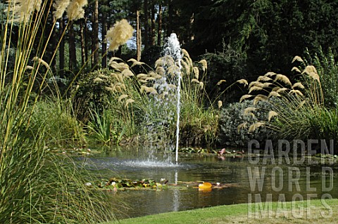 Pond_bordered_with_Cortaderia_argentea_and_water_fountain_jet_Mellerstain_Garden
