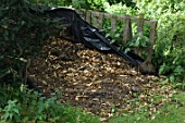 Compost heap in garden