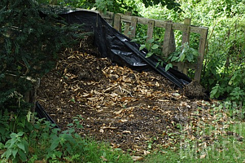 Compost_heap_in_garden
