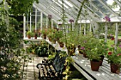 Inside greenhouse at Malleny Garden in Scotland