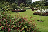 Persicaria affinis at Malleny Garden, Scotland