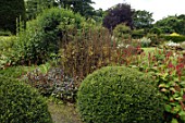 Clipped Buxus sempervirens (Box) at Malleny Garden in Scotland