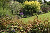 Lawn of Malleny Garden in Scotland