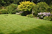 Lawn of Malleny Garden in Scotland