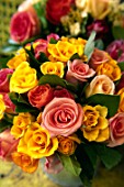 Modern bouquet of mixed Rosa (Roses)