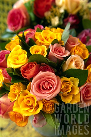 Modern_bouquet_of_mixed_Rosa_Roses