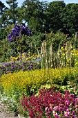 Veronicastrum virginicum among herbaceous border, Floor Castle, Scotland