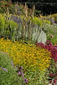 Solidago and Veronicastrum virginicum at Floor Castle, Scotland