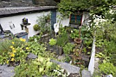 Vegetables cultivated in raised beds, Centre for Alternative Technology, Machynlleth, Wales, UK