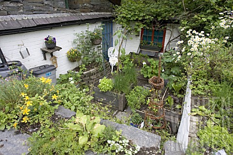 Vegetables_cultivated_in_raised_beds_Centre_for_Alternative_Technology_Machynlleth_Wales_UK