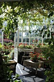 Inside the conservatory at House of Pitmuies, Scotland