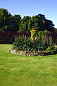 Elevated border of Acanthus in the middle of a lawn
