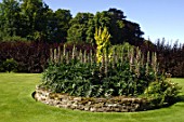Elevated border of Acanthus in the middle of a lawn