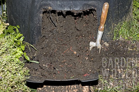 Mature_compost_full_of_red_worms_Cotswolds_England_UK