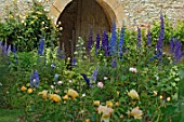 Roses and Delphinium in border at Jardin de Cormatin, France