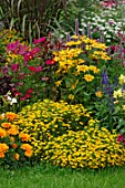 Bidens in annual border