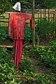 Scarecrow in garden