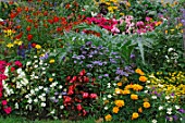 Mixed annuals in summer border