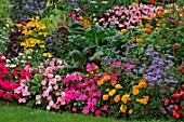 Mixed annuals in summer border