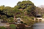 Lake at Urban Park of Shinjuku, Tokyo, Japan