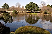 Lake at Urban Park of Shinjuku, Tokyo, Japan