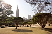 Urban Park of Shinjuku, Tokyo, Japan