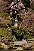 Japanese garden with stone pagoda, Imperial City of Kamakura, Japan