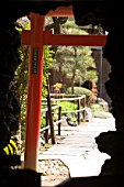 Japanese garden seen from within cave, Imperial City of Kamakura, Japan