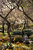 Japanese garden, Imperial City of Kamakura, Japan