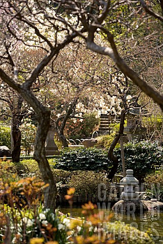 Japanese_garden_Imperial_City_of_Kamakura_Japan