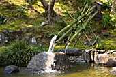 Bamboo fountain in Japanese garden
