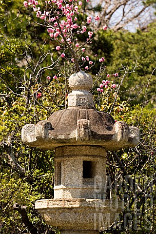 Stone_lantern_in_Japanese_garden_Imperial_City_of_Kamakura_Japan