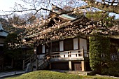 House in a Japanese garden, Imperial City of Kamakura, Japan