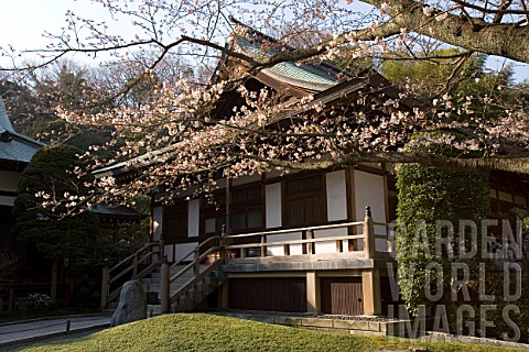 House_in_a_Japanese_garden_Imperial_City_of_Kamakura_Japan