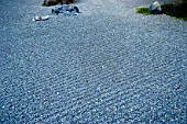 Raked gravel in Zen garden, Imperial City, Kamakura, Japan