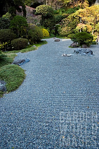 Raked_gravel_and_conifers_in_Zen_garden_Imperial_City_Kamakura_Japan