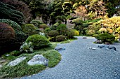 Raked gravel and conifers in Zen garden, Imperial City, Kamakura, Japan