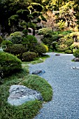 Raked gravel and conifers in Zen garden, Imperial City, Kamakura, Japan