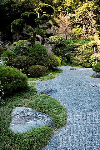 BSPT91880- Raked gravel and conifers in Zen garden, Im ...