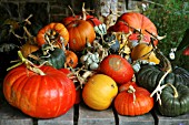 MIXED WINTER SQUASH