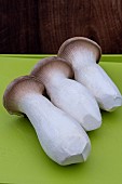 KING OYSTER MUSHROOM