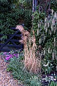 WINTER GARDEN