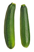 CUCURBITA PEPO