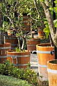 CLASSIC WOODEN ORANGERY TUBS