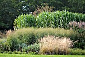MIXED GRASSES IN BORDER